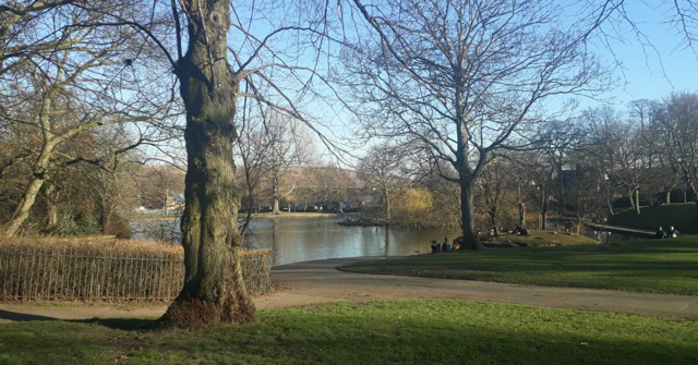 Hillsborough Park landscape with pond and trees 