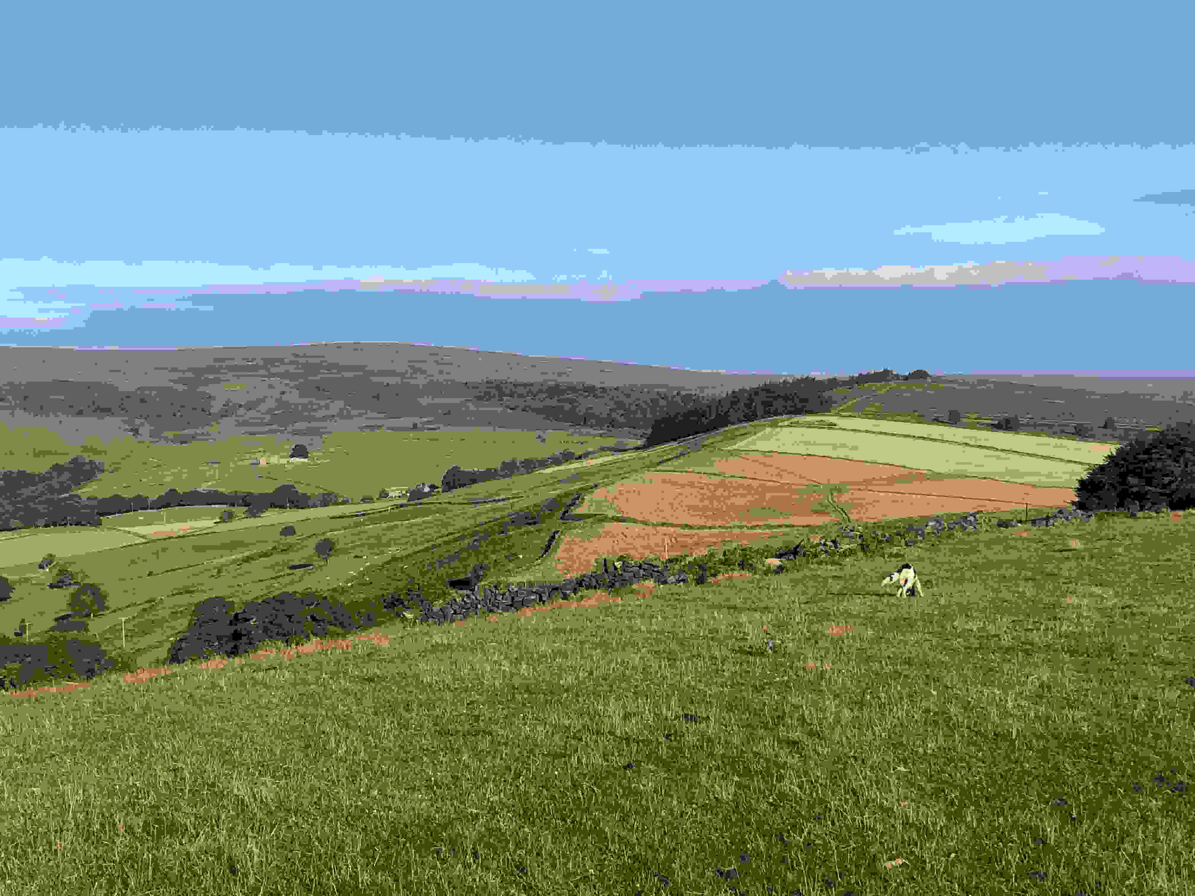 View of green moorland and blue sky 