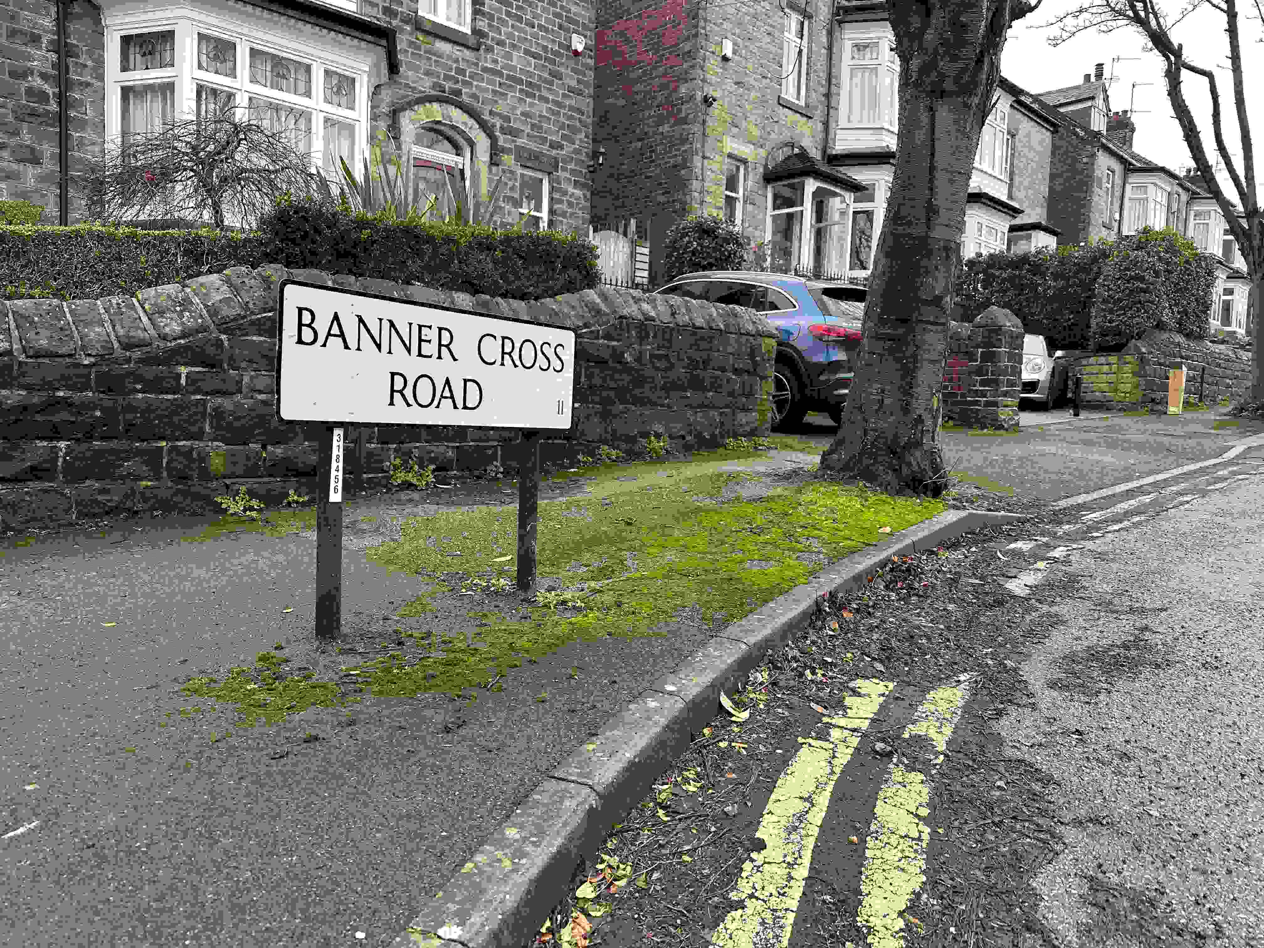 Banner Cross Road street sign stands beside a street tree and residential properties