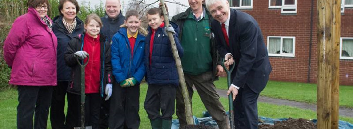 Group of people planting a sapling