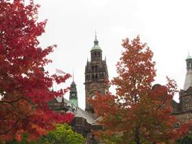 Town hall clock in autumn