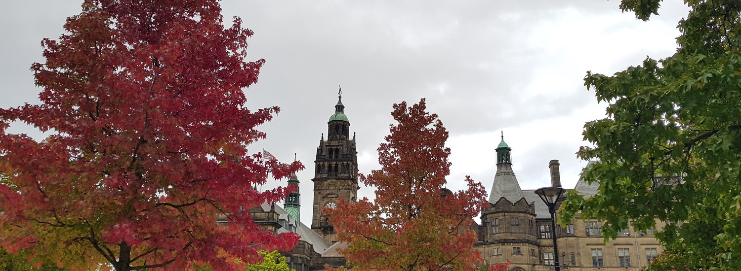 Sheffield Town Hall behind autumn trees