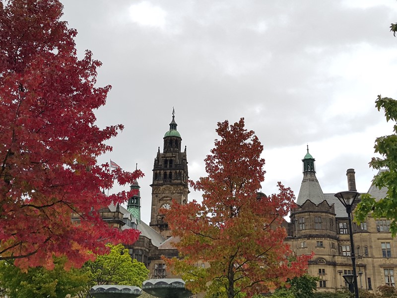 Sheffield Town Hall behind autumn trees