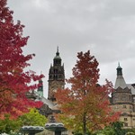 Autumnal trees surround Sheffield Town Hall