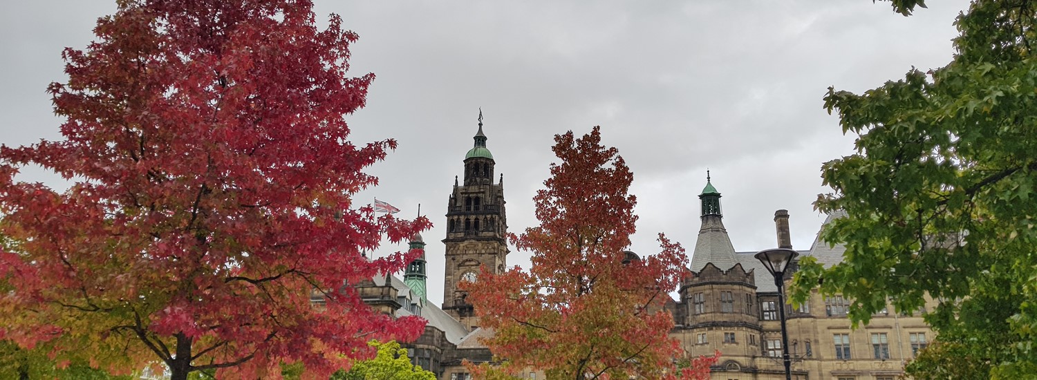 Large trees covered in red leaves surround Sheffield Town Hall 