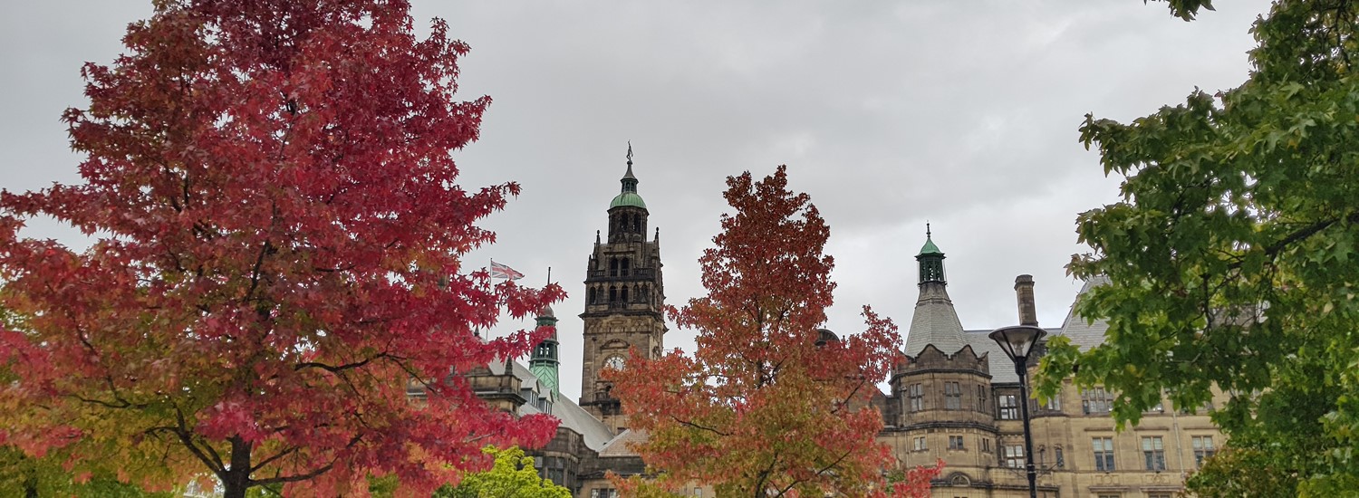 Large trees covered in red leaves surround Sheffield Town Hall