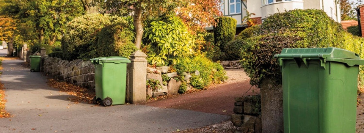 Green bins out of Sheffield street