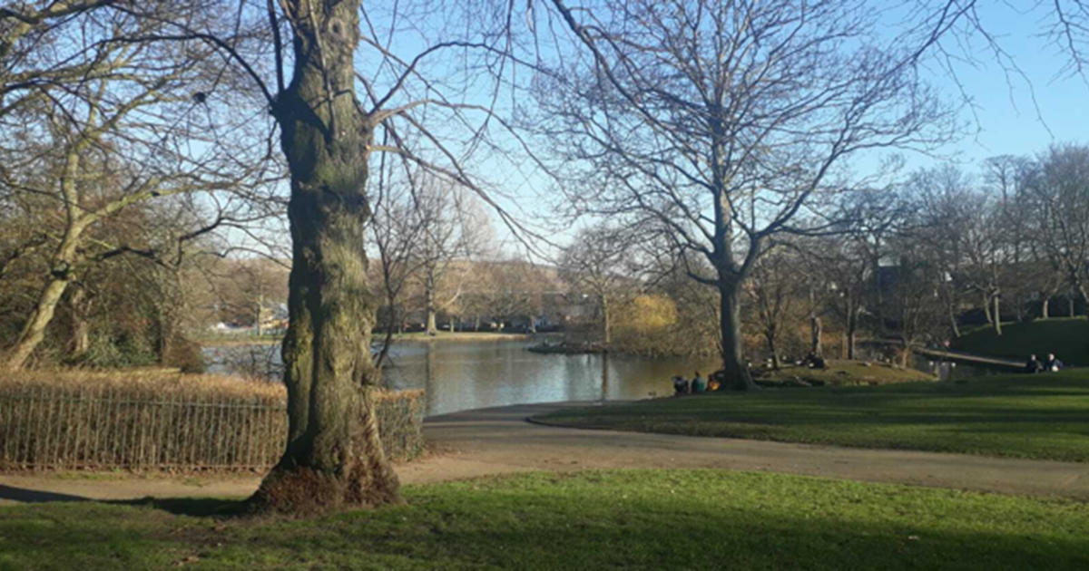 Hillsborough Park Landscape Sheffield 