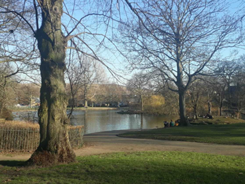 Hillsborough Park landscape with pond and trees 