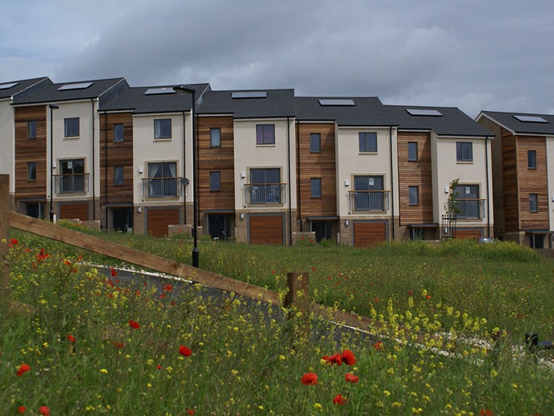 Row of two storey houses with flowers in front