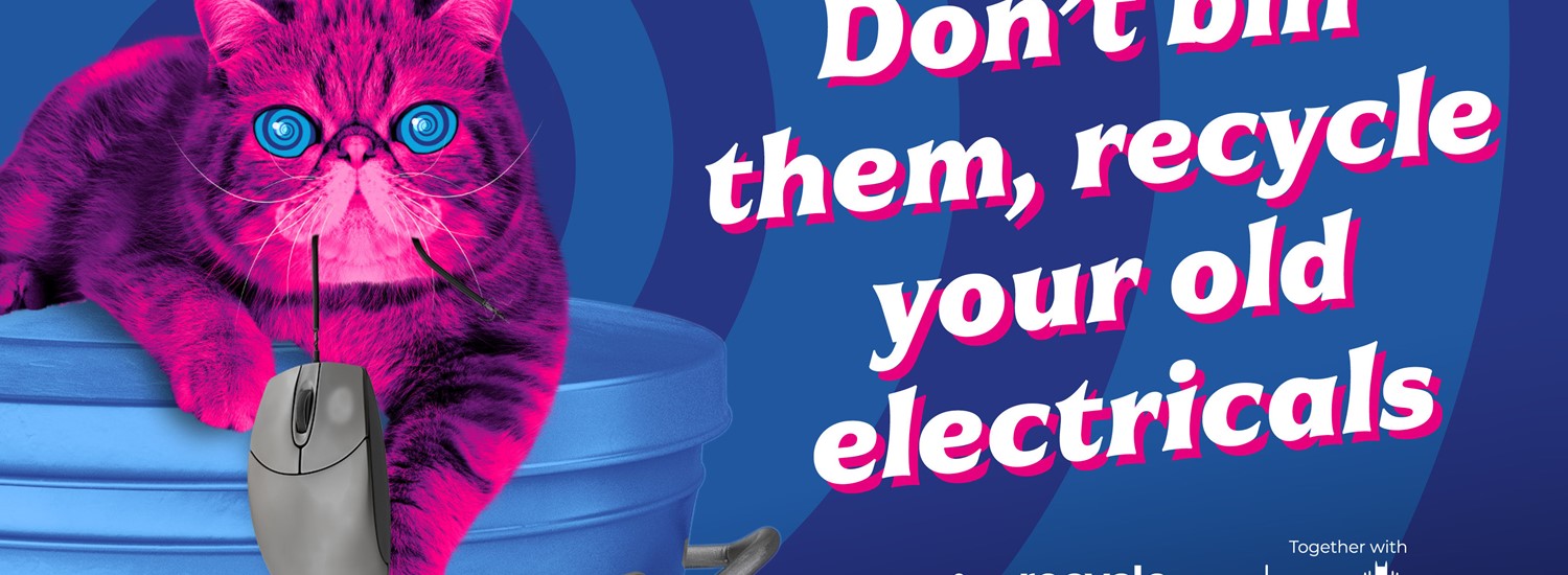 image of HypnoCat telling people to recycle