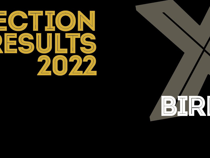 Sheffield Election Results 2022 for Birley