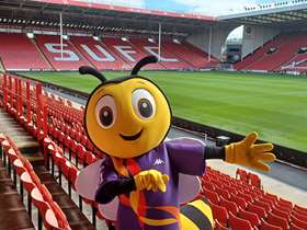 person in bee costume in the stands at Bramall Lane stadium