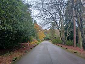 Road into Whirlow Brook Park with trees