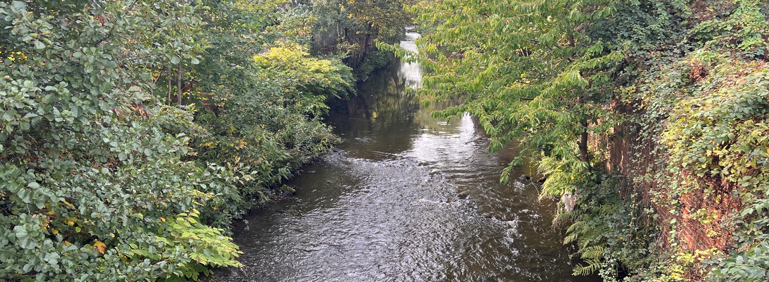 Flood defences press release