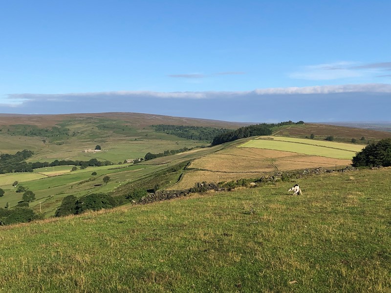 View of green moorland and blue sky 