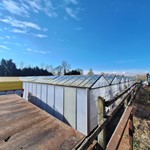 Glass houses at Norton Nurseries to be restored for food growing Norton Nurseries, Graves Park