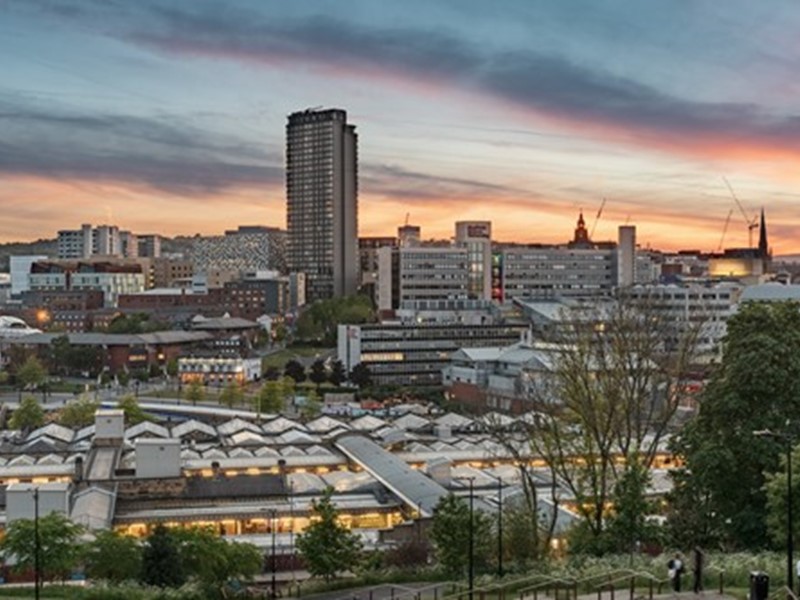Sheffield City Centre spreads out in front of you with a line of trees in the foreground, the buildings stretch out all the way to the horizon and sit under a darkening sky as the sun sets in the right of the picture