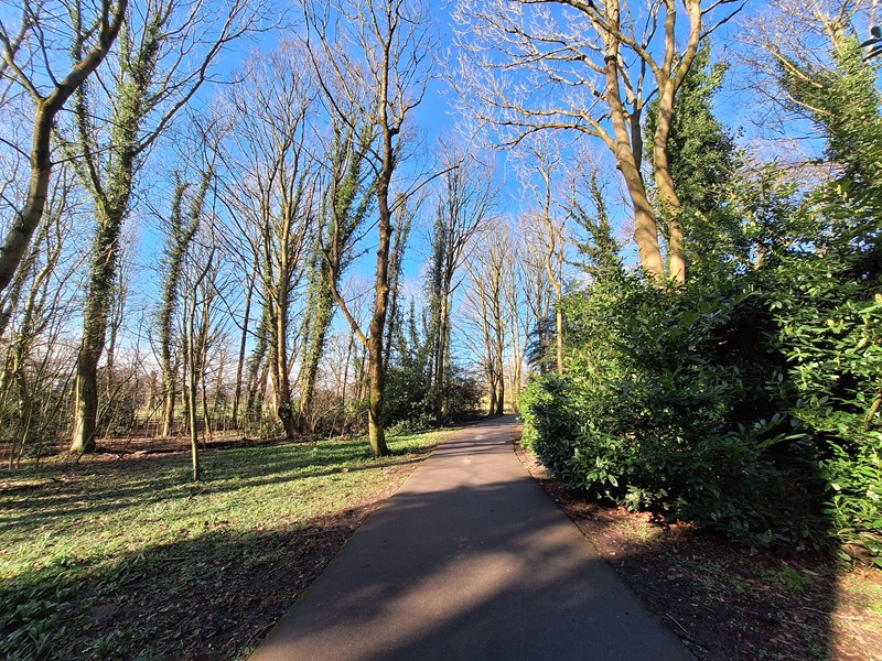 View in Graves Park of a brown gravel path surrounded by green grass with tall trees and a blue sky in the backgeround.