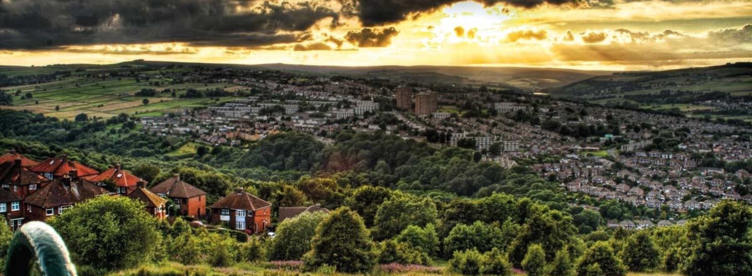 Sheffield city skyline with many trees visible