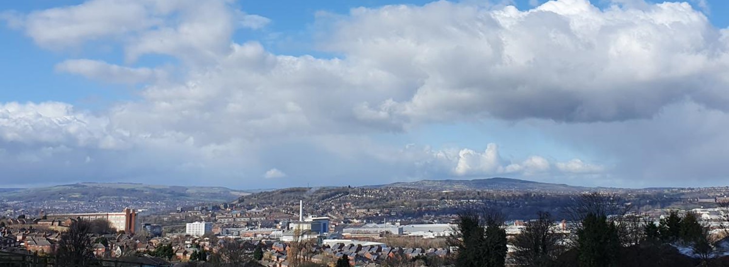 blue sky with clouds, houses and buildings in the distance, bushes close up