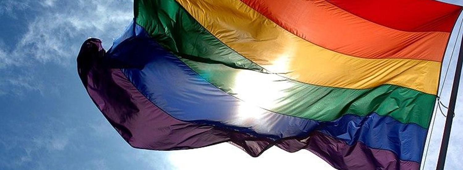 LGBT flag