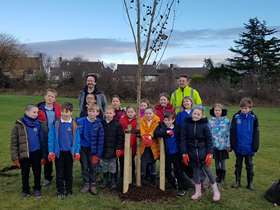 School children plant hundreds of new trees in Sheffield