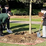 2 people dig a hole to plant a tree