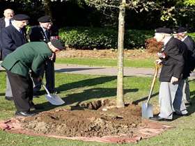 2 people dig a hole to plant a tree