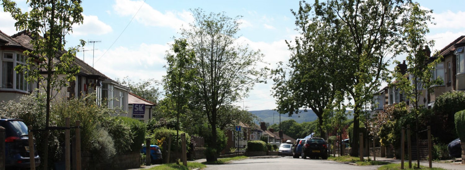 street with trees