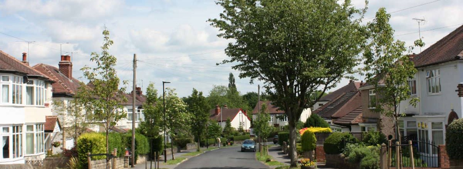 street with trees