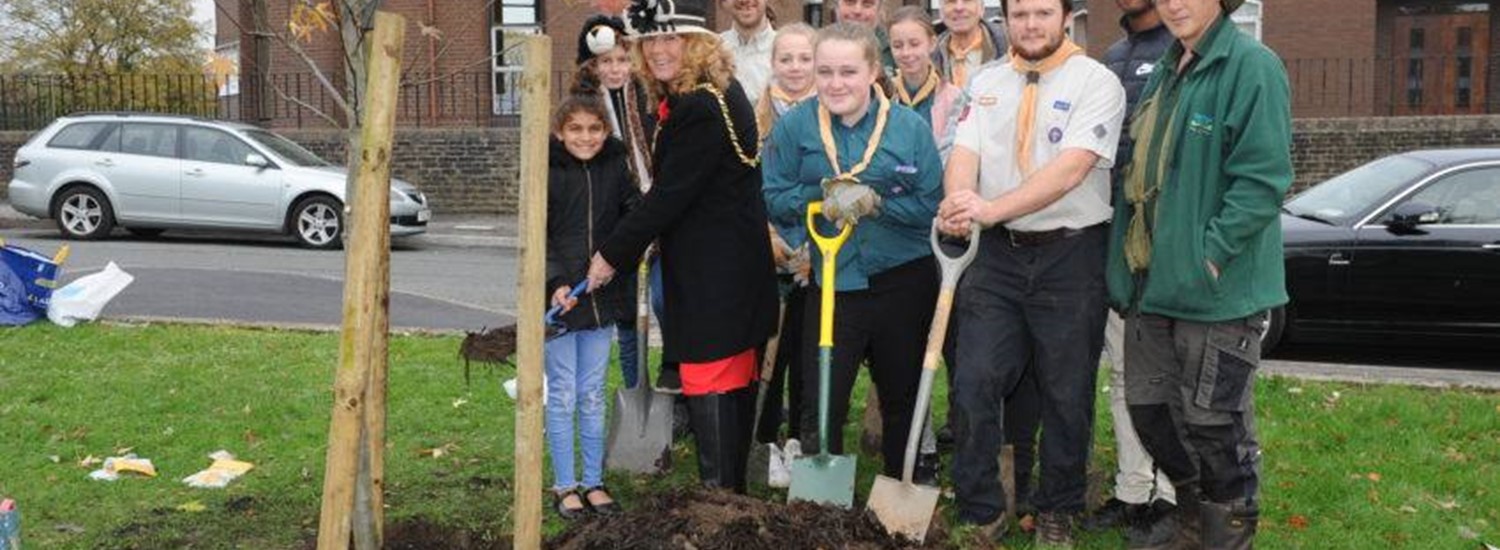 people planting saplings