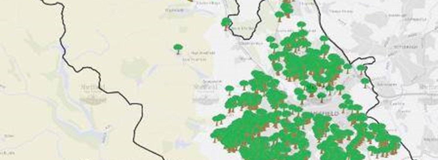 Interactive map tree planting