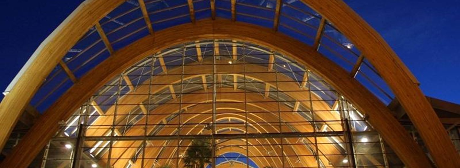 Winter Garden arches at night